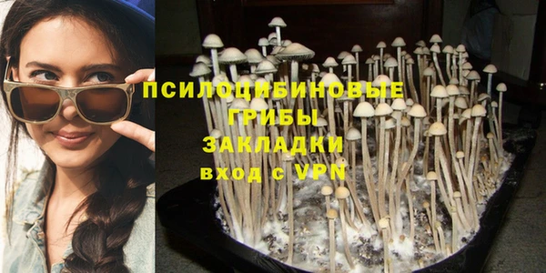 мдпв Белокуриха