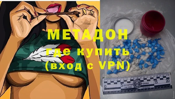 прущие грибы Нея