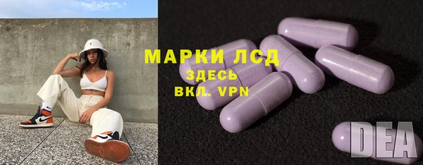 прущие грибы Нея