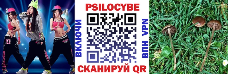 Галлюциногенные грибы мухоморы  дарнет шоп  Сусуман 